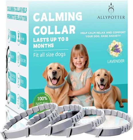 Calming Collar for Dogs pack of 4 Calming Collar Calming for Dogs Pheromone collar For Dogs Relief Anxiety and Bad Behavior Relief stress separation lasts 60 days 25 Inches calming aid for dogs collar in Saudi Arabia