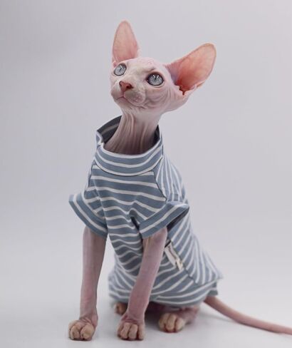 Cotton Sphynx Cat Clothes Spring and Summer Thin High Elasticity Devon Rex, Konish Clothes Hairless Cat Clothes Cat Apparel for Small Cats and Dogs (Blue, XX-Large) in Saudi Arabia