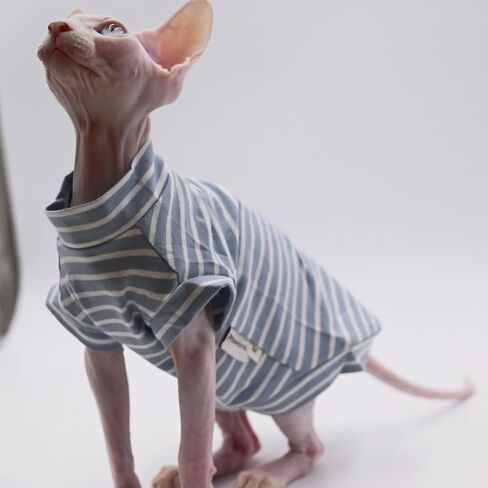 Cotton Sphynx Cat Clothes Spring and Summer Thin High Elasticity Devon Rex, Konish Clothes Hairless Cat Clothes Cat Apparel for Small Cats and Dogs (Blue, XX-Large) in Saudi Arabia