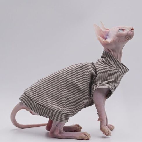 Cotton Sphynx Cat Clothes Spring and Summer Thin High Elasticity Devon Rex, Konish Clothes Hairless Cat Clothes Cat Apparel for Small Cats and Dogs (Blue, XX-Large) in Saudi Arabia