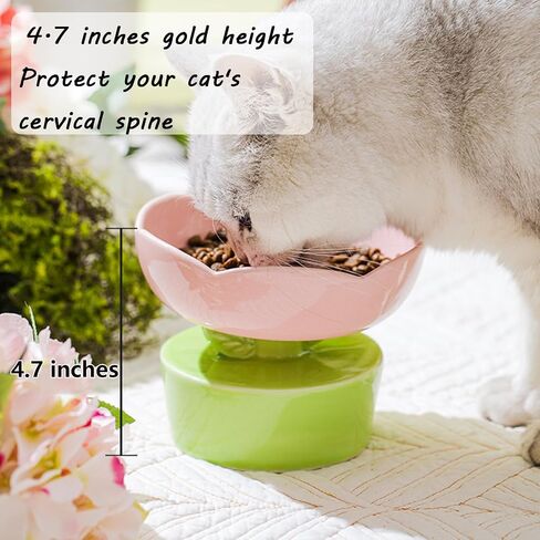 Ceramic Elevated Cat Bowl, Wide Shallow Cat Food Dish for Food and Water, Cat Whisker Friendly Anti-vomiting Protect Pet's Spine, Great Height for Cat Cute Indoor Cat Bowl (Pink) in Saudi Arabia