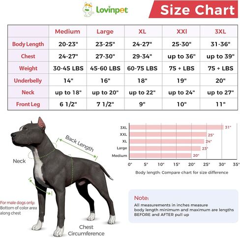 بدلة تعافي الكلاب من LovinPet أنثى: بدلة تعافي جراحي للكلاب أنثى وذكور حماية ضد اللعق تغطية كاملة للجسم ضد التساقط in Saudi Arabia