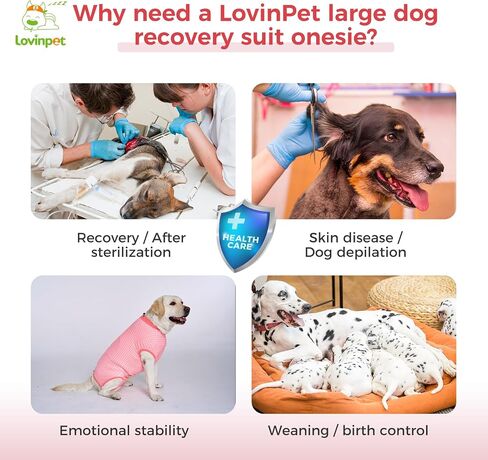 بدلة تعافي الكلاب من LovinPet أنثى: بدلة تعافي جراحي للكلاب أنثى وذكور حماية ضد اللعق تغطية كاملة للجسم ضد التساقط in Saudi Arabia