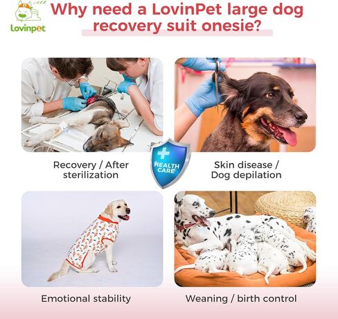 بدلة تعافي الكلاب من LovinPet أنثى: بدلة تعافي جراحي للكلاب أنثى وذكور حماية ضد اللعق تغطية كاملة للجسم ضد التساقط in Saudi Arabia
