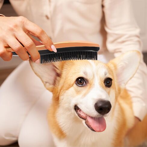 Cat & Dog Brush with Soft Rubber Pins - Pet Hair Brush- Cat Brushes for Indoor Cats, No Scratching Removes Hair Mats Tangles and Loose Fur for Short to Long Haired (Rose Gold) in Saudi Arabia