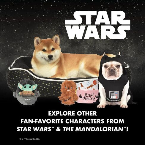Star Wars for Pets R2D2 Dog Treat Jar | 10 x 5 Ceramic Dog Treat Jar with Silicone Lid | Dishwasher Safe Dog Food Storage Cylinder Treat Jar | Dog Treat Jar in Saudi Arabia