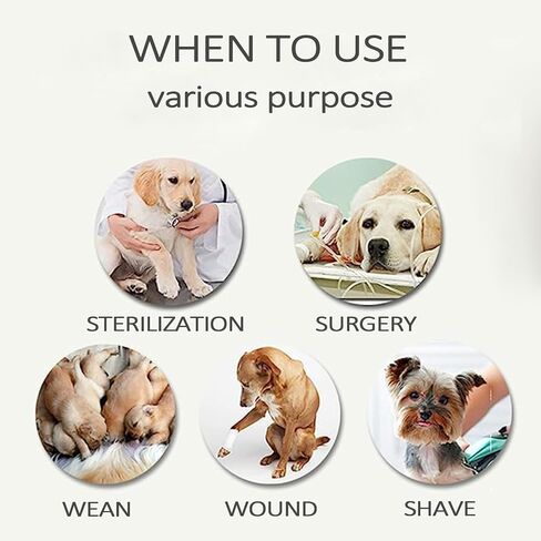 Recovery Suit for Dogs Cats After Surgery, Professional Pet Recovery Shirt Dog Abdominal Wounds Bandages, Substitute E-Collar & Cone,Prevent Licking Dog Onesies (Purple, Medium) in Saudi Arabia