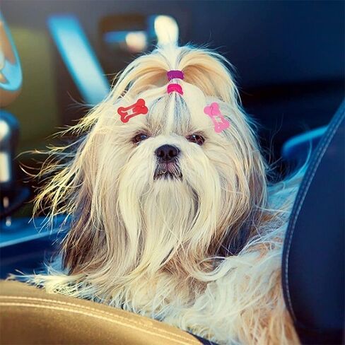 10Pcs Multicolour Hair Clips for Dogs, Small Dog Bow Mini Bone Snap Dog Barrette for Small Dog Hair, Tiny Pet Grooming Hair Accessories for Small Dog Cat, Dog Hair Ties (1Inch) in Saudi Arabia