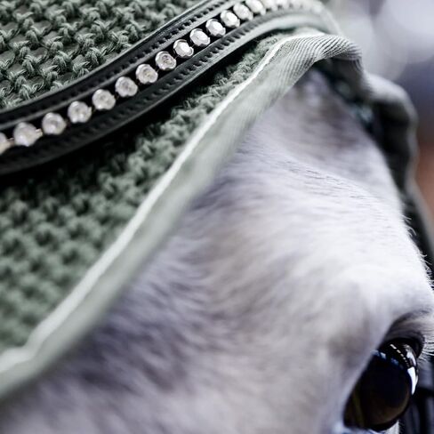 Horze Adepto Cotton Crochet Insect and Fly Protection Horse Ear Net with Cotton Ear Covers - Beetle Khaki Green - Horse in Saudi Arabia