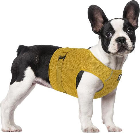 Dog Cooling Vest Harness Lightweight Cooler Jacket with Adjustable Buckle, Cooling Shirt for Summer Walking, Outdoor Hunting Training and Camping.(M) in Saudi Arabia