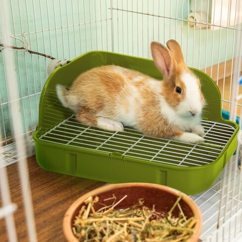 مرحاض صندوق فضلات الأرانب، زاوية بلاستيكية مربعة لتدريب نونية الحيوانات الأليفة، صينية براز شبكية للحيوانات الصغيرة مع مغرفة وبطانة للاستعمال مرة واحدة، ملحقات فراش الأرنب للهامستر القنفذ، أخضر in Kuwait