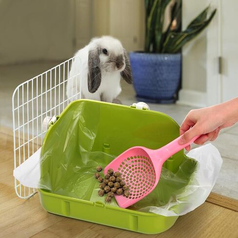 مرحاض صندوق فضلات الأرانب، زاوية بلاستيكية مربعة لتدريب نونية الحيوانات الأليفة، صينية براز شبكية للحيوانات الصغيرة مع مغرفة وبطانة للاستعمال مرة واحدة، ملحقات فراش الأرنب للهامستر القنفذ، أخضر in Kuwait