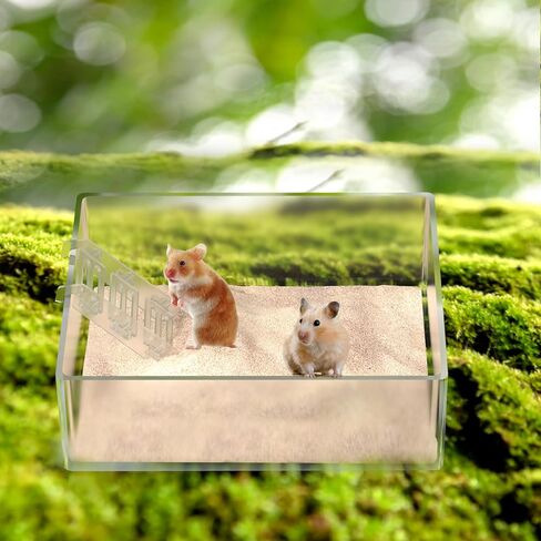 2 PCS Hamster Sand Bath Box with Ladder Transparent Rectangle Animal Sand Bath Container Acrylic Critter's Sand Bath Shower Room and Digging Sand Litter Box for Mice Lemming Gerbils Small Animal in Saudi Arabia