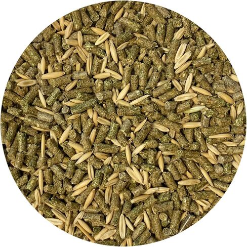 Exotic Nutrition Degu Diet (2.5lb) - Nutritionally Complete Healthy Pellet Diet with Whole Oats - for Domesticated Pet Degus in Saudi Arabia