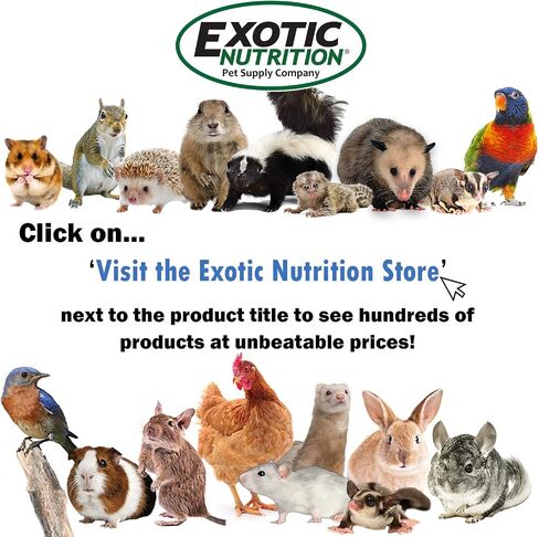 Exotic Nutrition Degu Diet (2.5lb) - Nutritionally Complete Healthy Pellet Diet with Whole Oats - for Domesticated Pet Degus in Saudi Arabia