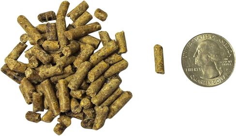 Exotic Nutrition Degu Diet (2.5lb) - Nutritionally Complete Healthy Pellet Diet with Whole Oats - for Domesticated Pet Degus in Saudi Arabia