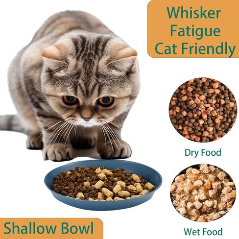 8 Pack Cat Bowls for Indoor, Cat food Dish Plates, Shallow Bowl for Whisker Fatigue Cat Friendly, Hamster, Bamboo rat, Rabbit, Small Pets, Cat Feeding Supplies in Saudi Arabia
