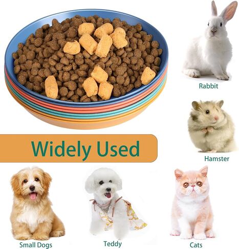 8 Pack Cat Bowls for Indoor, Cat food Dish Plates, Shallow Bowl for Whisker Fatigue Cat Friendly, Hamster, Bamboo rat, Rabbit, Small Pets, Cat Feeding Supplies in Saudi Arabia