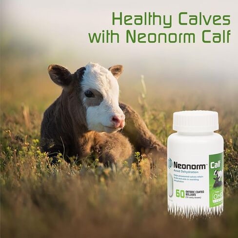 Jaguar Animal Health Neonorm Calf - Enteric Coated Supplement Boluses for Proper Hydration & Bowel Health - Plant-Based Product for Pre-Weaned Calves (60 Count) in Saudi Arabia