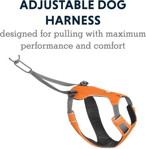 Ruffwear, Omnijore Dog Joring System, Dog Harness, Hip Belt, and Towline for Skiing, Skateboarding, and Biking, Orange Poppy, Medium in Saudi Arabia