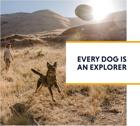 Ruffwear، نظام Omnijore Dog Joring، حزام للكلاب، حزام الورك، وخط المنشفة للتزلج والتزلج وركوب الدراجات، برتقالي الخشخاش، متوسط in Kuwait