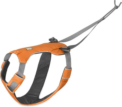 Ruffwear، نظام Omnijore Dog Joring، حزام للكلاب، حزام الورك، وخط المنشفة للتزلج والتزلج وركوب الدراجات، برتقالي الخشخاش، متوسط in Kuwait