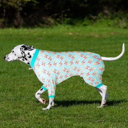 LovinPet Big Dog Pjs، بيجامة للكلاب للحماية بعد العمليات الجراحية، بذلة تغطية للكلاب، خفيفة الوزن عتيقة سعيدة 2 باقة من مطبوعات الطيور المغردة مثل سترة الكلب السفلية للكلاب، مقاس XL in Saudi Arabia