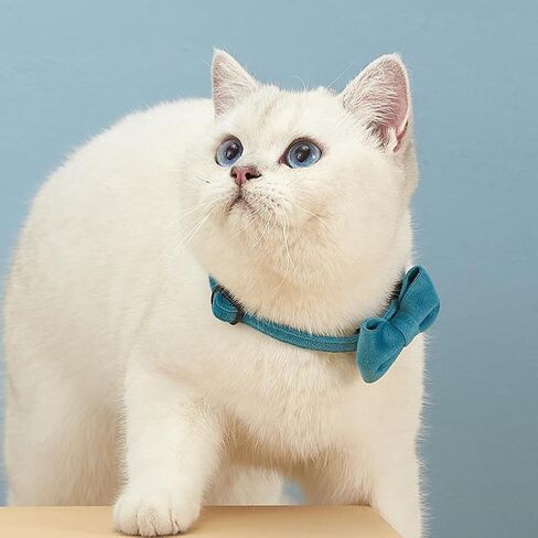 Love Dream Cat Collar Breakaway with Bow Tie and Bells - 3 Pack Velvet Girl Boy Kitty Safety Kitten Collars with Removable Bowtie for Cats Kittens, Blue & Pink & Purple in Saudi Arabia