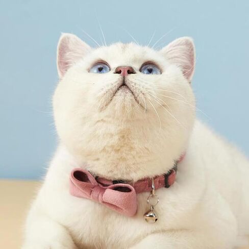 Love Dream Cat Collar Breakaway with Bow Tie and Bells - 3 Pack Velvet Girl Boy Kitty Safety Kitten Collars with Removable Bowtie for Cats Kittens, Blue & Pink & Purple in Saudi Arabia