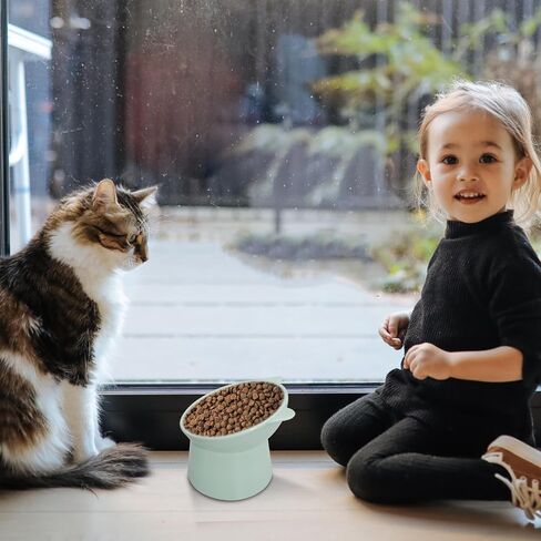 9 Pcs Raised Cat Food Bowls 15 Degrees Plastic Tilted Elevated Cat Bowls Pet Feeder Anti Vomit Dog Kitten Food Dishes Slanted Stand Cats Bowls for Cats and Small Dogs in Saudi Arabia