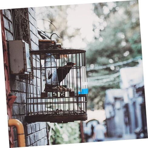 5 قطع الطيور شارب الحيوانات الأليفة الطيور تغذية المياه التلقائي الطيور موزع المياه الطيور شرب زجاجة الطيور تغذية المياه لقفص الطيور الملحقات لأقفاص الطيور لوازم زيادة البلاستيك in Kuwait