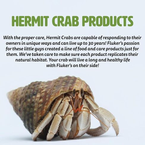 Fluker's Color Enhancer Treat for Hermit Crabs, Red in Saudi Arabia