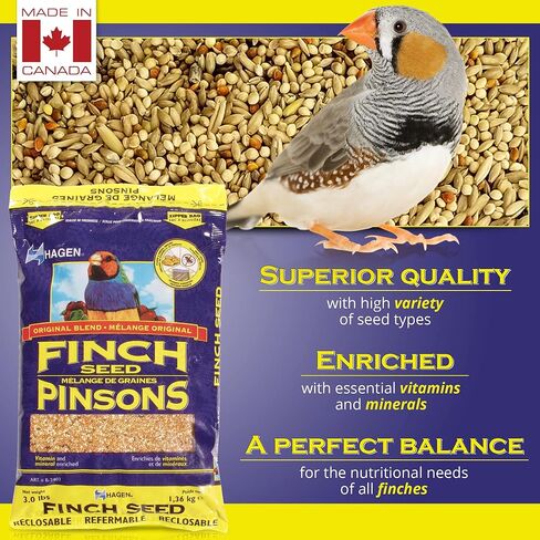 Hagen Finch Staple Vme Seed, 3-Pound in Saudi Arabia