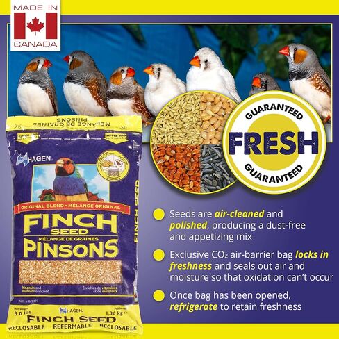 Hagen Finch Staple Vme Seed, 3-Pound in Saudi Arabia