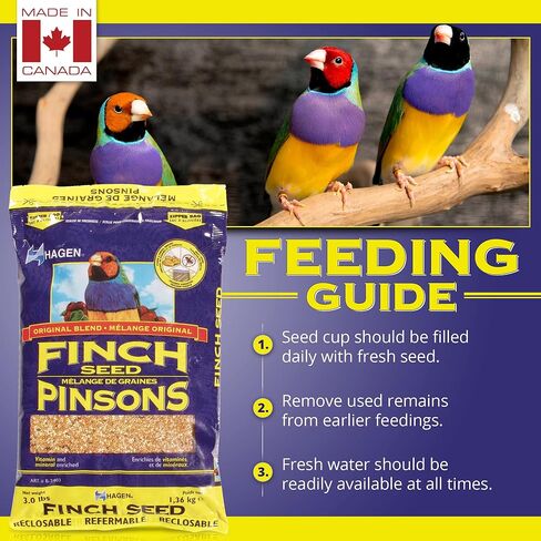 Hagen Finch Staple Vme Seed, 3-Pound in Saudi Arabia