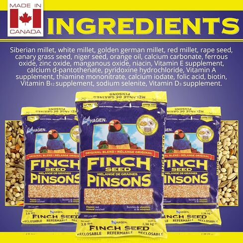 Hagen Finch Staple Vme Seed, 3-Pound in Saudi Arabia