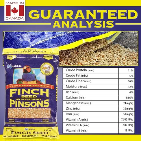 Hagen Finch Staple Vme Seed, 3-Pound in Saudi Arabia