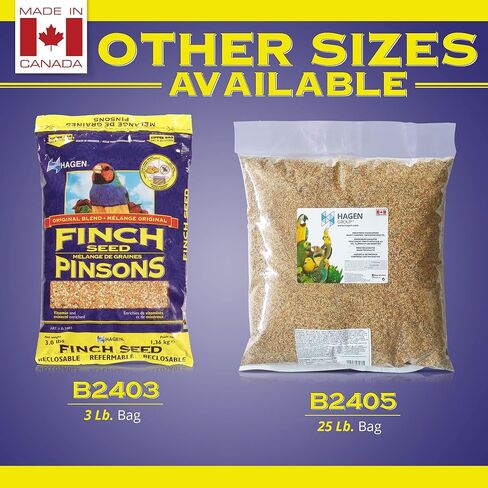Hagen Finch Staple Vme Seed, 3-Pound in Saudi Arabia