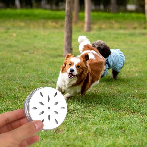 20 عبوة من علب عمل رائحة الكلاب، مجموعة حاويات تدريب أنف الكلاب مع 50 نقطة مغناطيسية، صندوق تدريب على رائحة الألومنيوم بوزن 2 أونصة مع أغطية مجوفة، صندوق مزيل العرق للثلاجة المستديرة مع غطاء لولبي in Kuwait