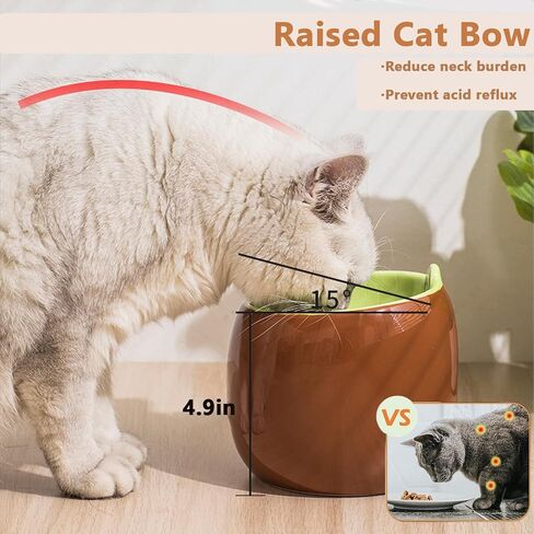 Ceramic Elevated Cat Bowls, Tilted Whisker Friendly Raised Cat Food Bowl Stress Free Anti-Vomiting, Food Feeding Dish for Indoor Cats Dishwasher Safe & Microwaveable (kiwifruit) in Saudi Arabia