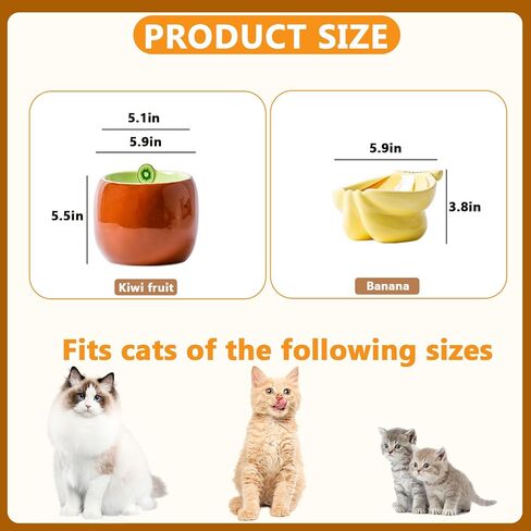 Ceramic Elevated Cat Bowls, Tilted Whisker Friendly Raised Cat Food Bowl Stress Free Anti-Vomiting, Food Feeding Dish for Indoor Cats Dishwasher Safe & Microwaveable (kiwifruit) in Saudi Arabia