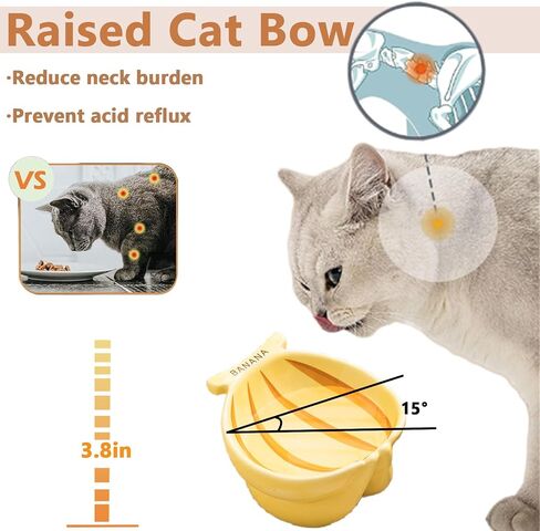 Ceramic Elevated Cat Bowls, Tilted Whisker Friendly Raised Cat Food Bowl Stress Free Anti-Vomiting, Food Feeding Dish for Indoor Cats Dishwasher Safe & Microwaveable (kiwifruit) in Saudi Arabia