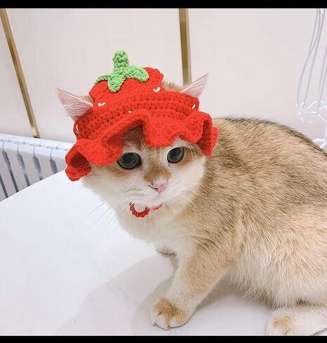 Crochet Pets Headband, Handmade Puppy and Kitten Accessories, Dogs & Cats Knitted Hat, Cute Adjustable Headwear, Adorable Christmas Costume, Photo Props and Grooming Supplies (Small, Red Strawberry) in Saudi Arabia