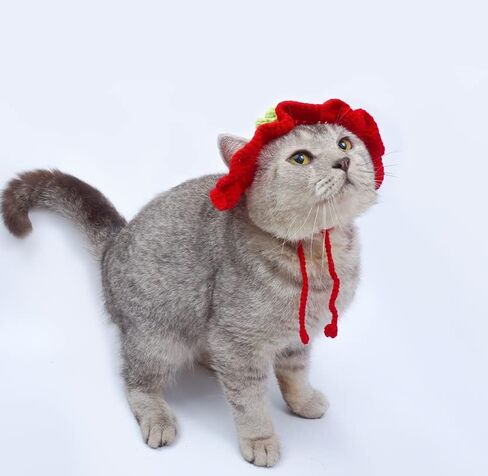 Crochet Pets Headband, Handmade Puppy and Kitten Accessories, Dogs & Cats Knitted Hat, Cute Adjustable Headwear, Adorable Christmas Costume, Photo Props and Grooming Supplies (Small, Red Strawberry) in Saudi Arabia