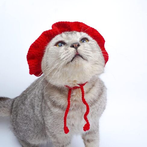Crochet Pets Headband, Handmade Puppy and Kitten Accessories, Dogs & Cats Knitted Hat, Cute Adjustable Headwear, Adorable Christmas Costume, Photo Props and Grooming Supplies (Small, Red Strawberry) in Saudi Arabia