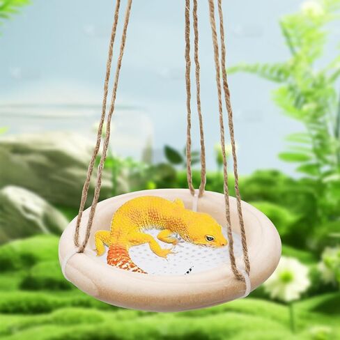 لعبة أرجوحة السلطعون الناسك، لعبة تسلق السلطعون الناسك، ملحقات تزيين حوض السمك لخزان الزواحف، مناسبة للسرطانات الناسك الصغيرة والمتوسطة الحجم وسحلية الهامستر، بقطر 10.16 سم in Kuwait