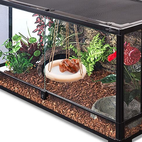 لعبة أرجوحة السلطعون الناسك، لعبة تسلق السلطعون الناسك، ملحقات تزيين حوض السمك لخزان الزواحف، مناسبة للسرطانات الناسك الصغيرة والمتوسطة الحجم وسحلية الهامستر، بقطر 10.16 سم in Kuwait