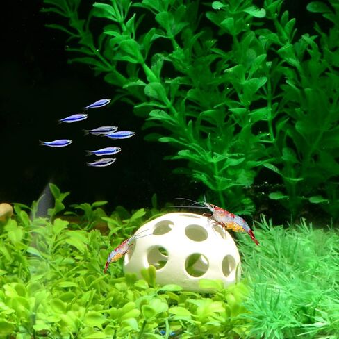 Saim Aquarium Decorations Ceramic Rock Cave Shrimp Hides for Aquarium Fish Tank Decoration Breeding Hiding Spots Holes in Saudi Arabia
