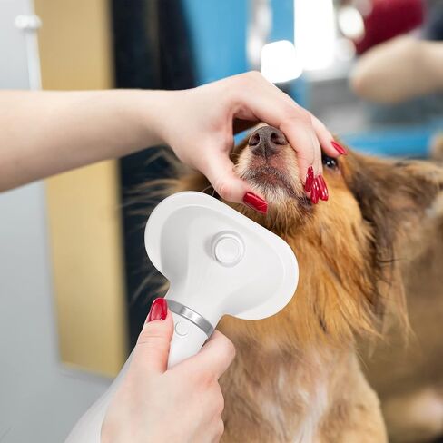 Dog Hair Dryer - Portable and Quiet 3 in 1 Pet Grooming Hair Dryer Blower with Slicker Brush - Small and Medium Cats and Dogs - Adjustable Heat Setting in Saudi Arabia