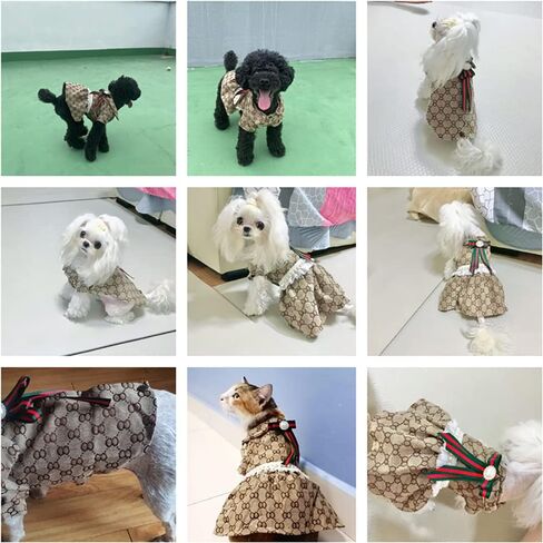 Elegant Dog Clothes Pet Dress Puppy Spring Clothes Cute Princess Dress with Sweetie Bowknot for Small Dogs Cats Pets on Wedding Party Summer Beach Soft Breathable (Coffee, Small) in Saudi Arabia